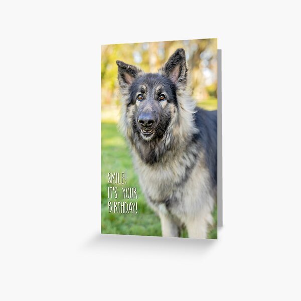 Smile, It's Your Birthday! - greeting card Greeting Card