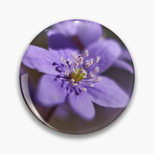 Item preview, Shallow DOF. Pennywort designed and sold by Jouko Lehto Photography.