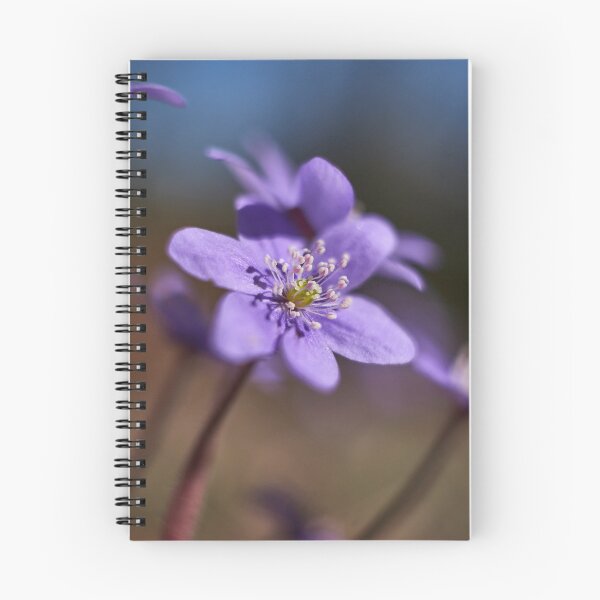 Item preview, Shallow DOF. Pennywort designed and sold by Jouko Lehto Photography.