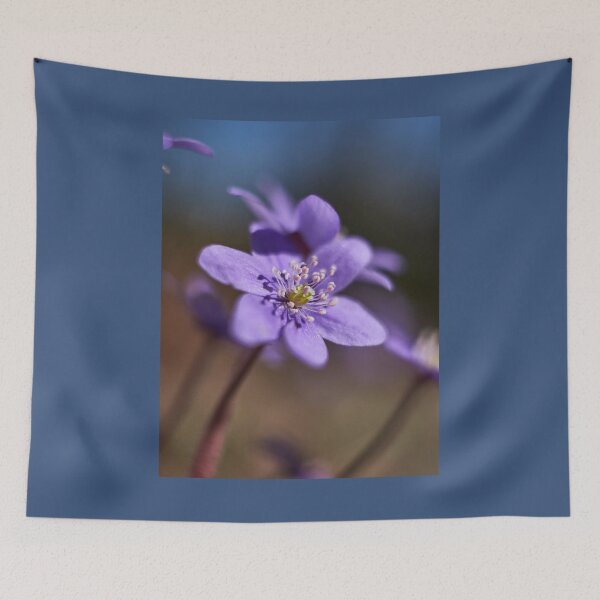 Item preview, Shallow DOF. Pennywort designed and sold by Jouko Lehto Photography.