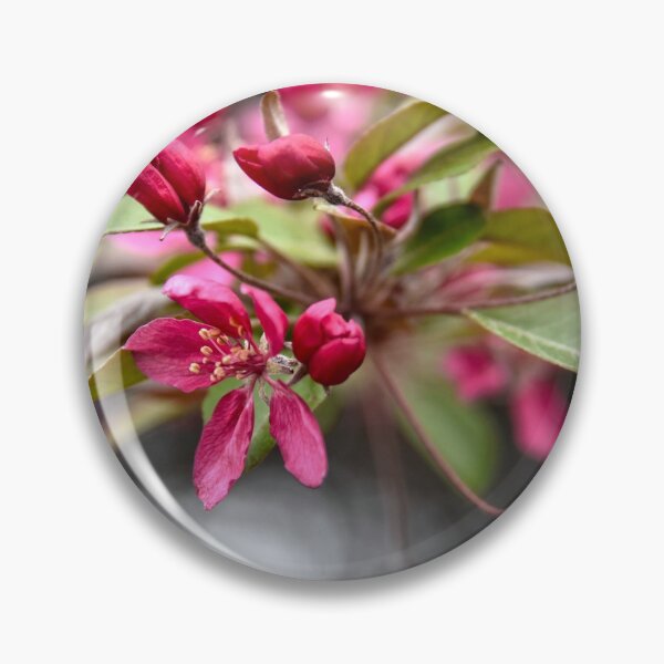 Item preview, Red Crabapple Flowers designed and sold by Catherine Sherman.