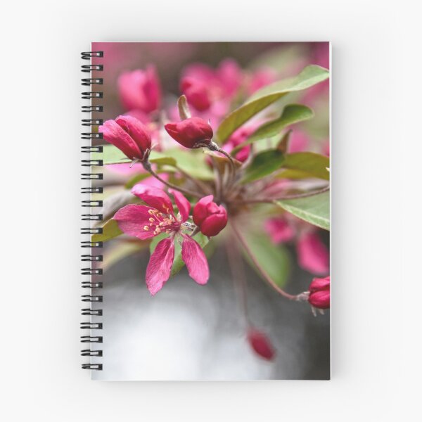 Item preview, Red Crabapple Flowers designed and sold by Catherine Sherman.
