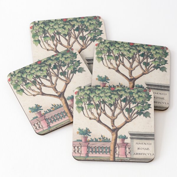 Item preview, Hibiscus Rosa-Sinensis designed and sold by HomeStageStudio.