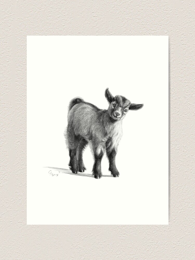 Impression Artistique Bebe Chevre G097 Par Schukinart Redbubble