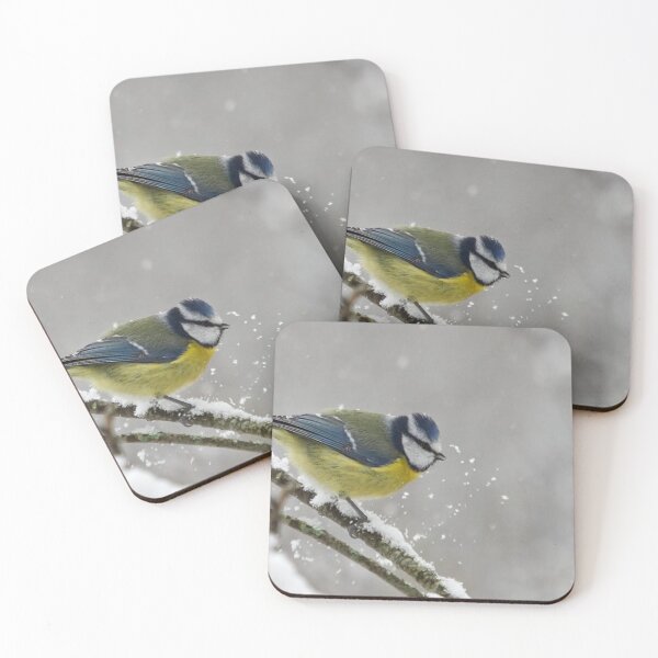 Item preview, Eurasian blue tit panoramic designed and sold by Jouko Lehto Photography.