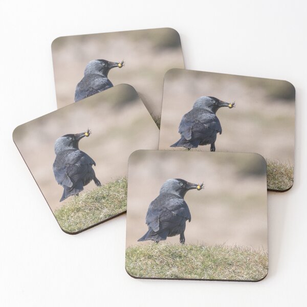 Item preview, Jackdaw designed and sold by LaurenTucker.
