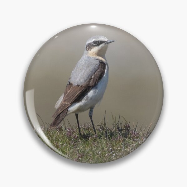Item preview, Wheatear designed and sold by LaurenTucker.