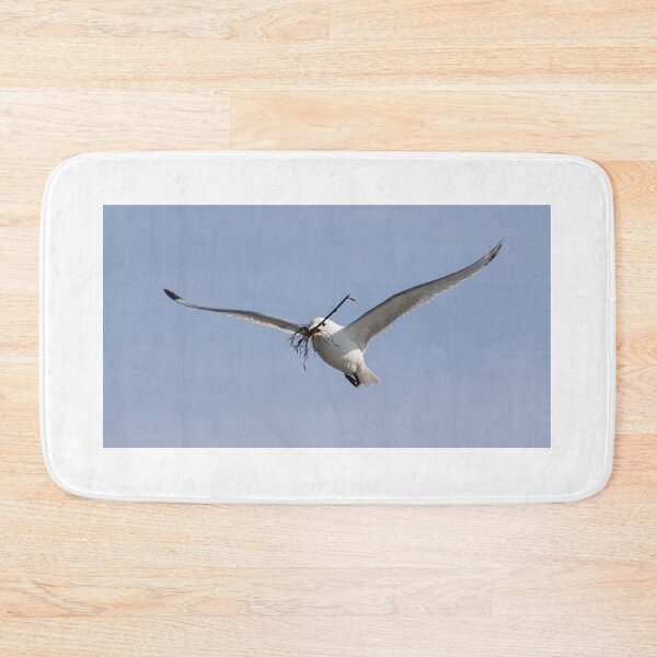 Item preview, Kittiwake designed and sold by LaurenTucker.