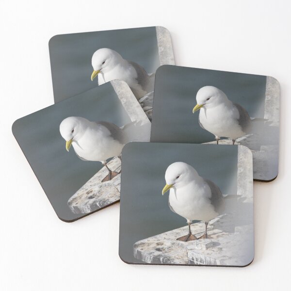 Item preview, Kittiwake designed and sold by LaurenTucker.
