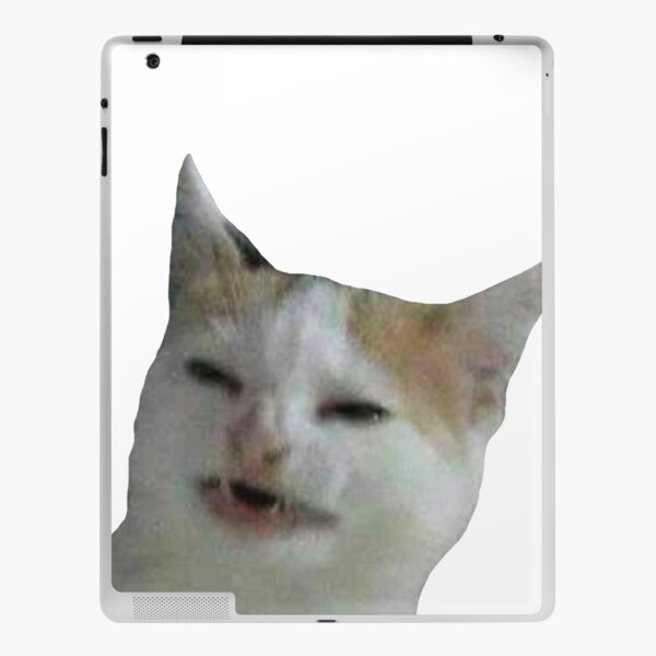 angry cat face meme iPad Case & Skin by auroragalavis