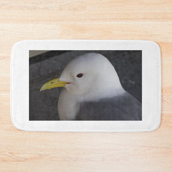Item preview, Kittiwake designed and sold by LaurenTucker.
