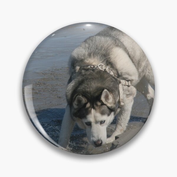 Item preview, Husky Leeloo at the Beach designed and sold by Angelika Kjeller.