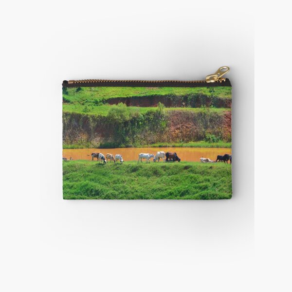 Item preview, Cows designed and sold by anafrancisconi.