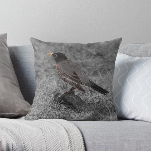 Robin Throw Pillow