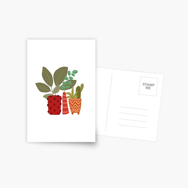 Plants and succulents in funky pots Postcard