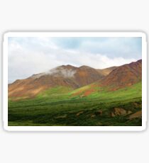Sable Pass, Denali National Park Sticker