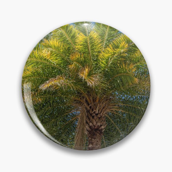 Item preview, Florida Palm Tree designed and sold by LizzieMaher.