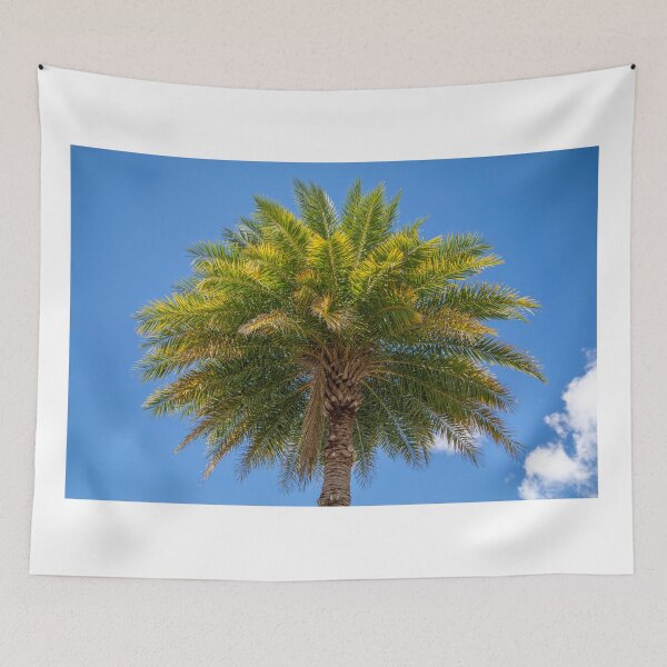 Item preview, Florida Palm Tree designed and sold by LizzieMaher.