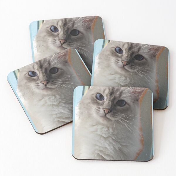 Item preview, Copy of Saoirseragdoll lynx ragdoll portrait photo designed and sold by Fluffycat2020.