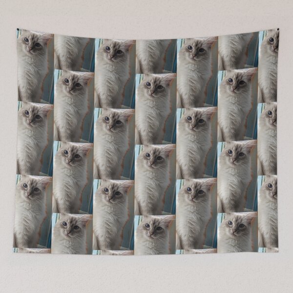 Item preview, Copy of Saoirseragdoll lynx ragdoll portrait photo designed and sold by Fluffycat2020.