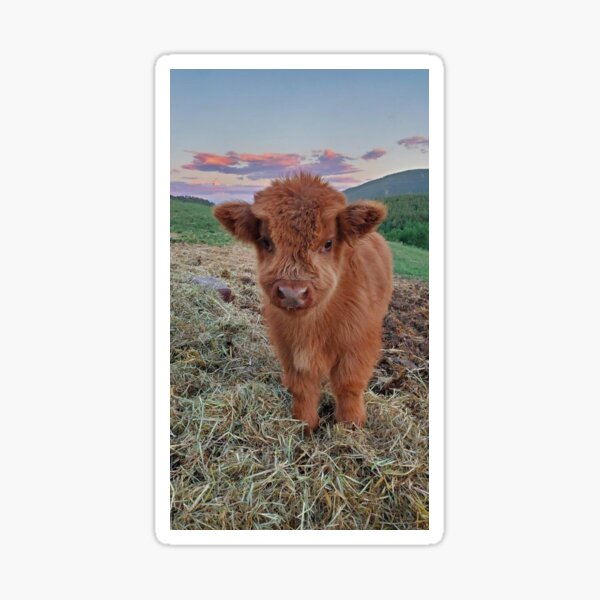 Item preview, Baby Cow designed and sold by Victoria  Ginzburg.