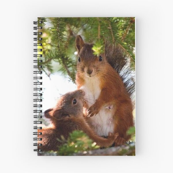 Item preview, Squirrels designed and sold by childrenlions.