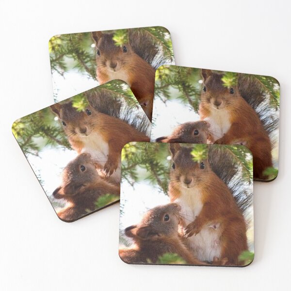 Item preview, Squirrels designed and sold by childrenlions.