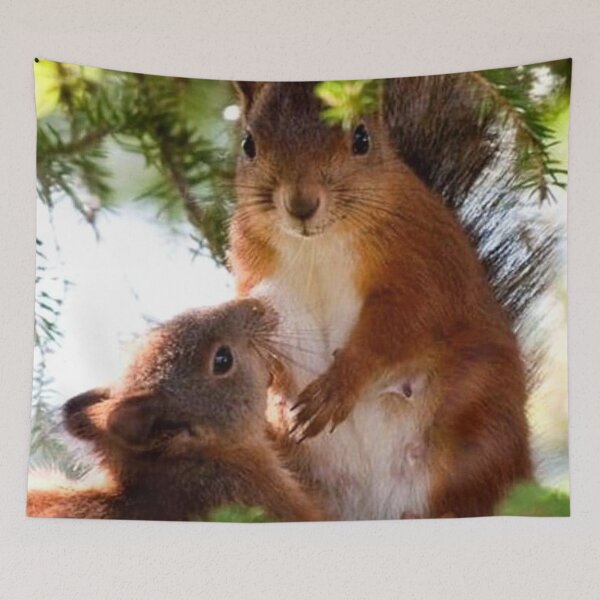 Item preview, Squirrels designed and sold by childrenlions.