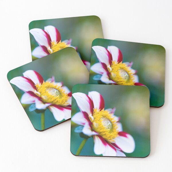 Item preview, Red, White and Yellow vibrant Dahlia flower designed and sold by CyaniRose.