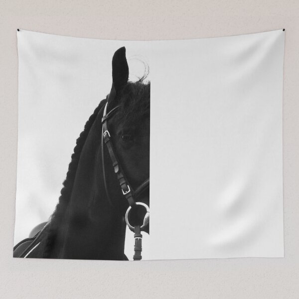 Item preview, Peekaboo Friesian Horse Black Baroque Stallion Photography Fine Art Print designed and sold by tinaschofield.