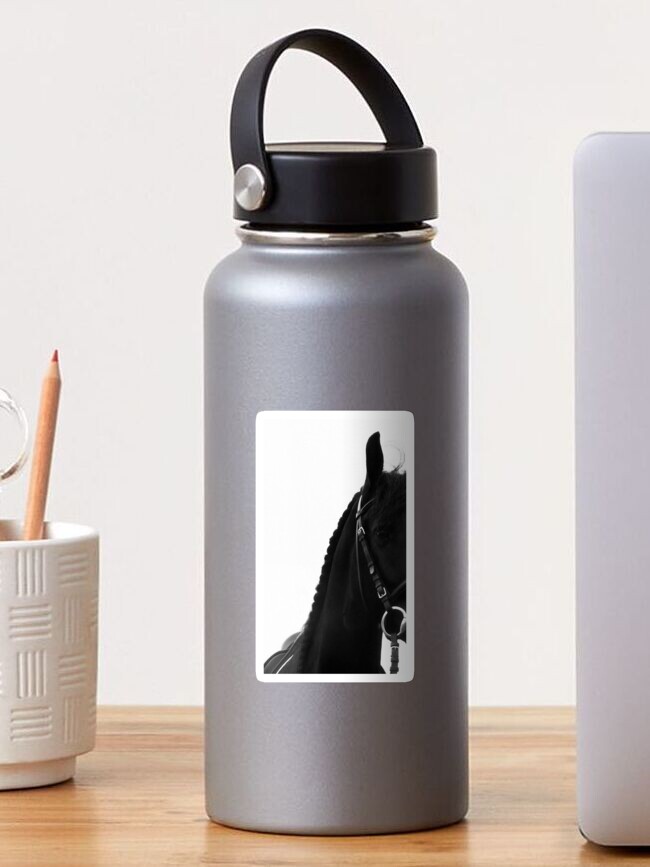 Thumbnail 1 of 3, Sticker, Peekaboo Friesian Horse Black Baroque Stallion Photography Fine Art Print designed and sold by tinaschofield.