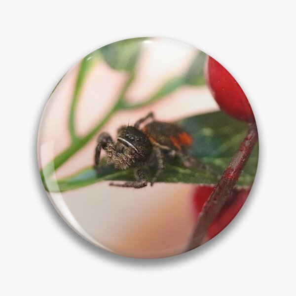 Item preview, Saphira The Spider designed and sold by Emmaline Jones.