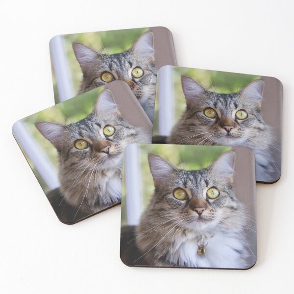Item preview, Acacia Bloom the Cat designed and sold by Emmaline Jones.