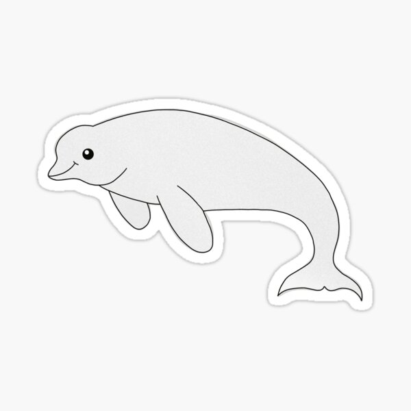 Sticker Beluga Whale Redbubble