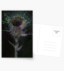 Thistle Postcards