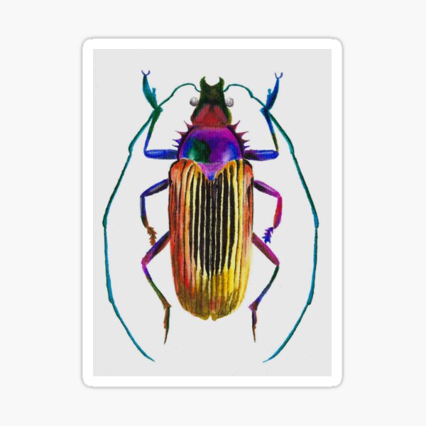 Item preview, Shiny beetle watercolour painting designed and sold by tifft.