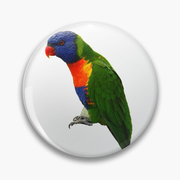 Item preview, Parrot Rainbow Lorikeet designed and sold by Miss Sparkle.