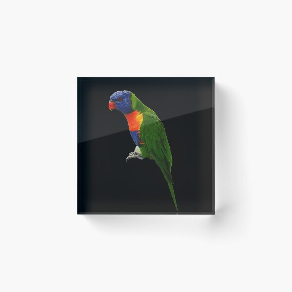 Item preview, Parrot Rainbow Lorikeet designed and sold by Miss Sparkle.
