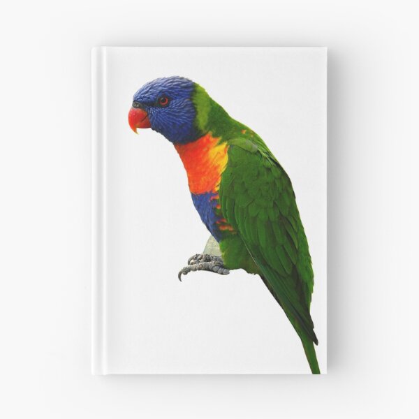 Item preview, Parrot Rainbow Lorikeet designed and sold by Miss Sparkle.