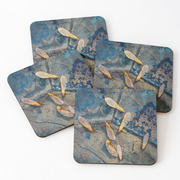 Item preview, Maple seeds designed and sold by Dimo Petrov.
