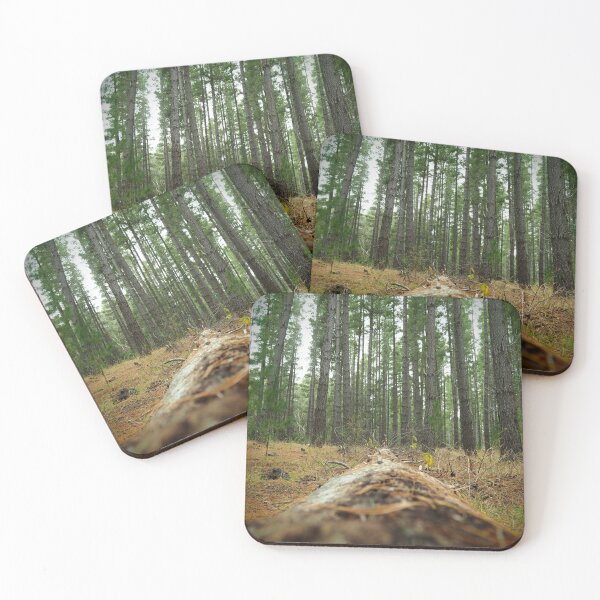 Item preview, fallen forrest designed and sold by Bryds94.