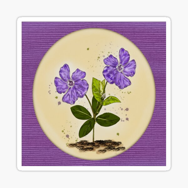 Framed Purple Periwinkle Garden Delight Sticker