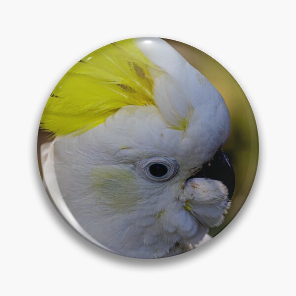 Item preview, Beautiful Cockatoo designed and sold by Marylou Badeaux.