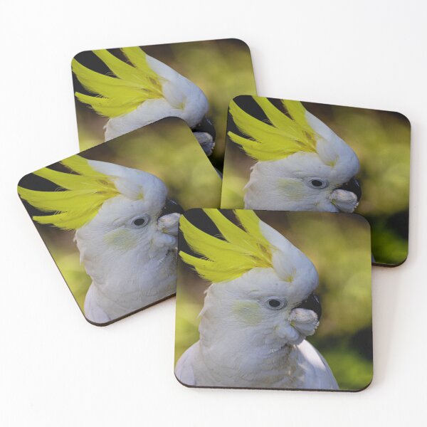 Item preview, Beautiful Cockatoo designed and sold by Marylou Badeaux.