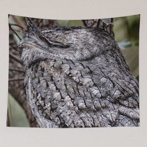 Item preview, Having a Sleep designed and sold by Marylou Badeaux.