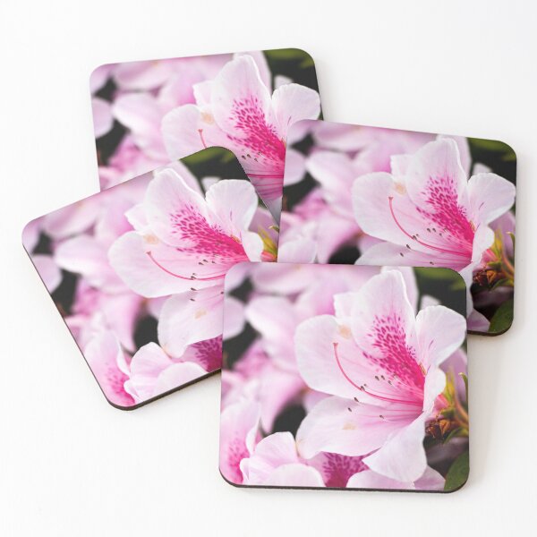 Item preview, Japanese Azaleas 2021 designed and sold by thedirtychorizo.