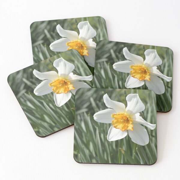 Item preview, A Small Daffodil designed and sold by Kathleen Brant.