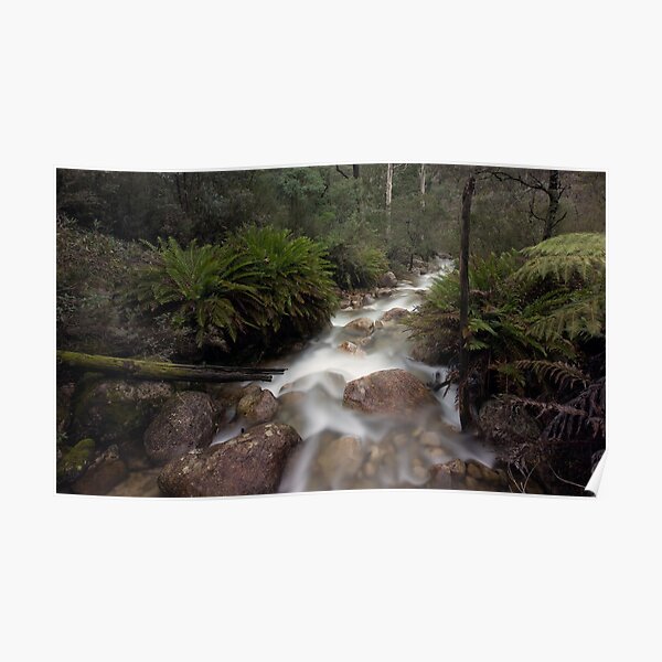 Eurobin Creek Poster