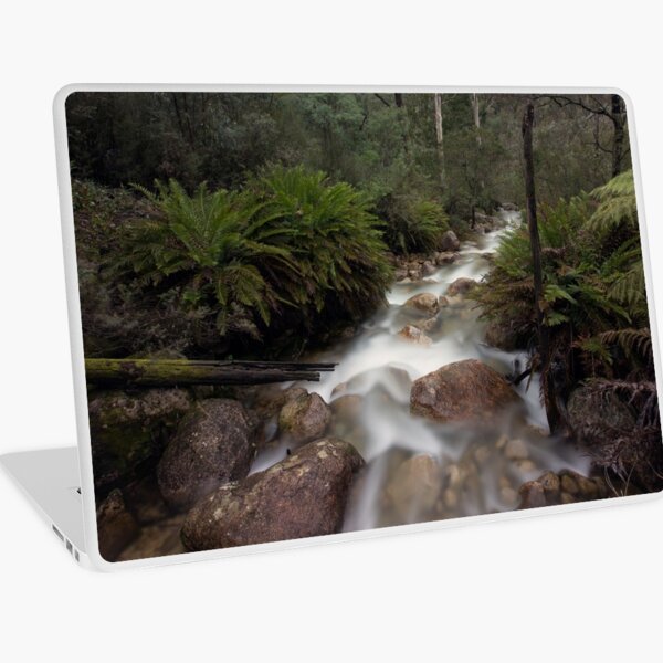 Eurobin Creek Laptop Skin