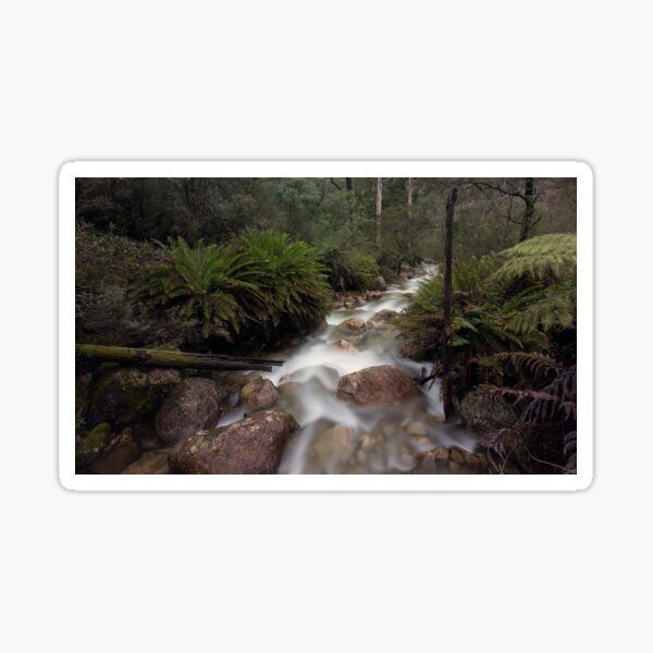 Eurobin Creek Sticker